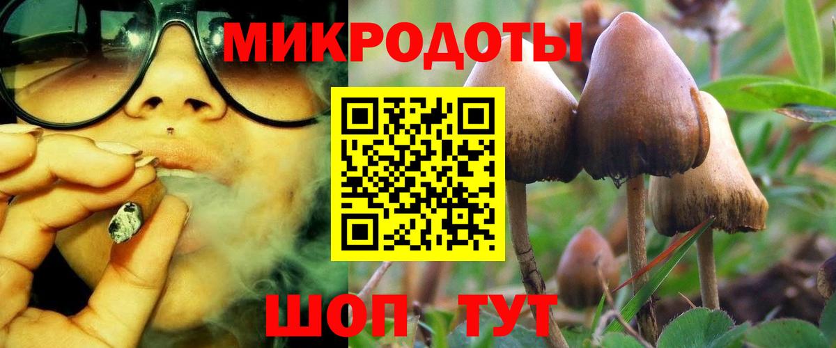Псилоцибиновые грибы Psilocybine cubensis  Вход с VPN  Первоуральск 